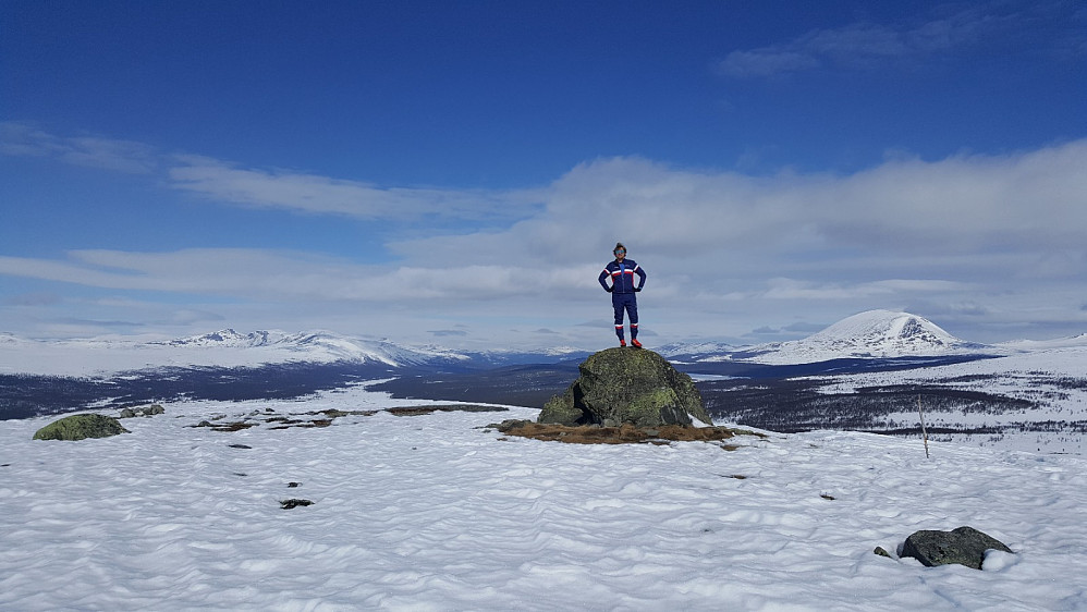 På Skardfjellet