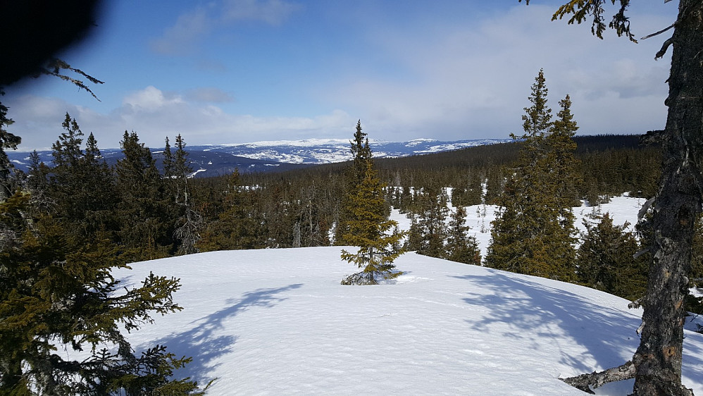 Rindåsen trigpunkt