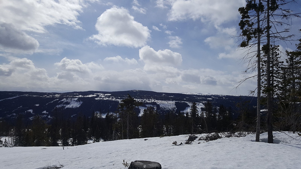 Finsrudbekkhøgda