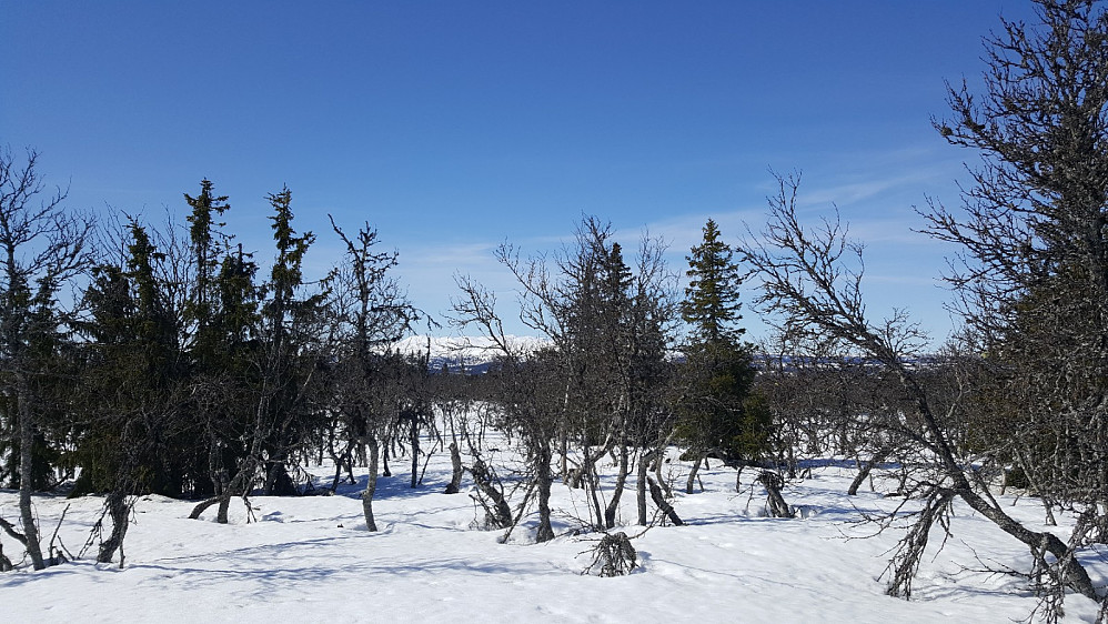 Værskeitoppen