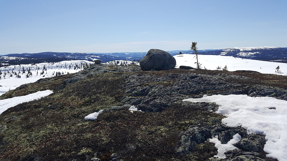 Torpevassfjellet