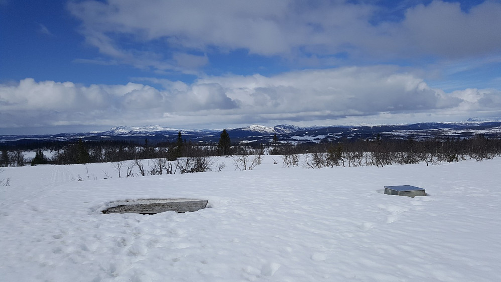 Værskei