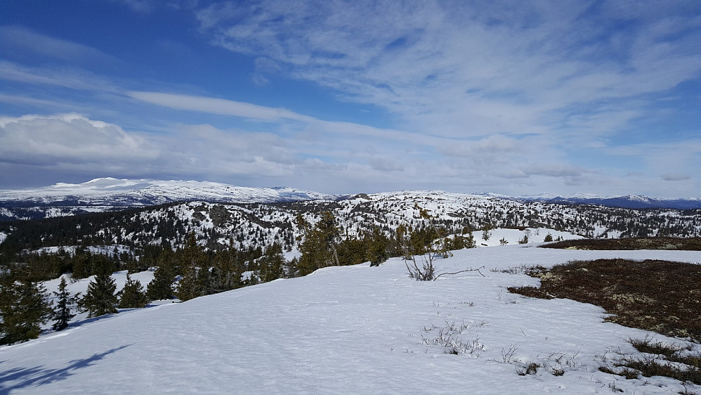 Nordre Gaustumseterfjellet