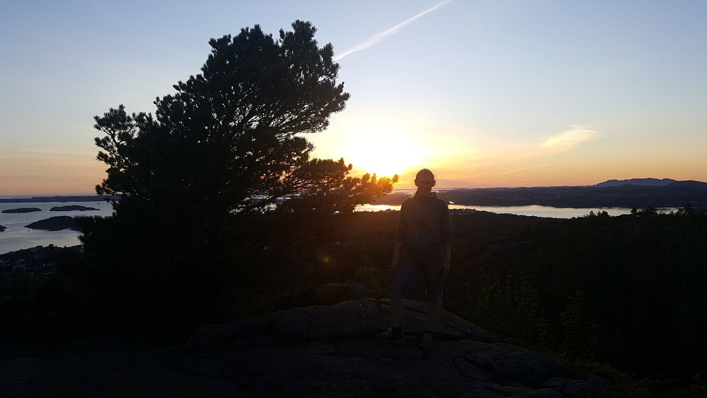Solnedgang