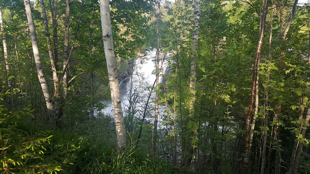 Holsfossen