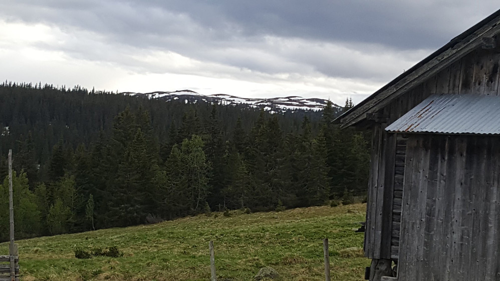 Voldsetra med Gammelhans i bakgrunnen