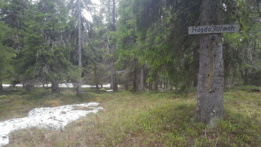 Storseterhøgda