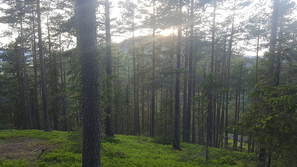 På Rundhaugen