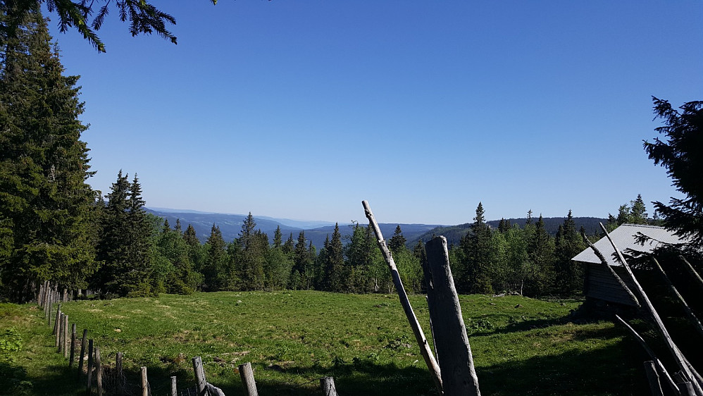 Målgang på Evenhaugsetra