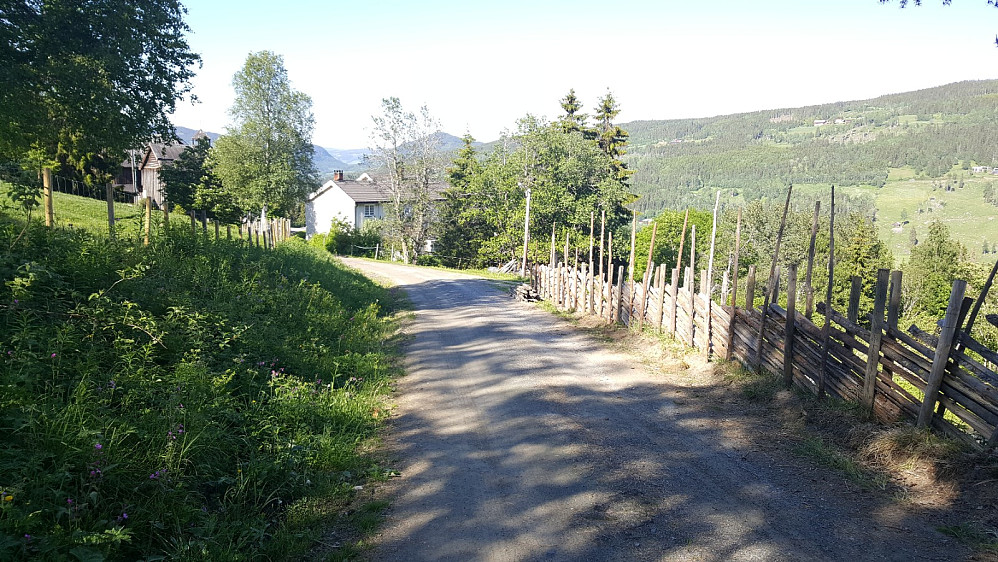 Nygaard