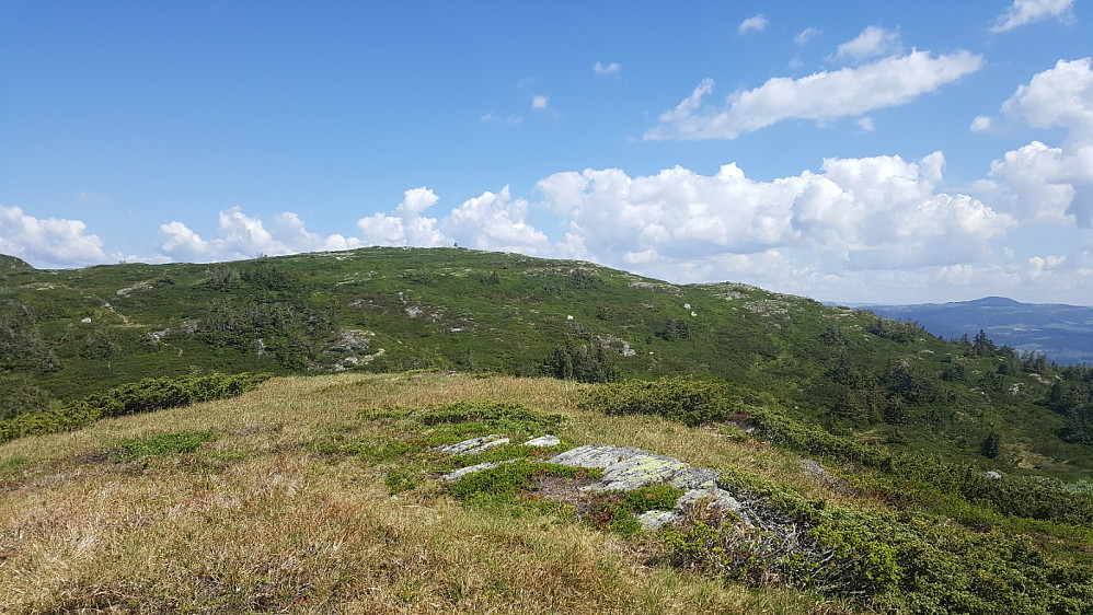 På Søre Skjenafjellet, mot Skjenafjellet