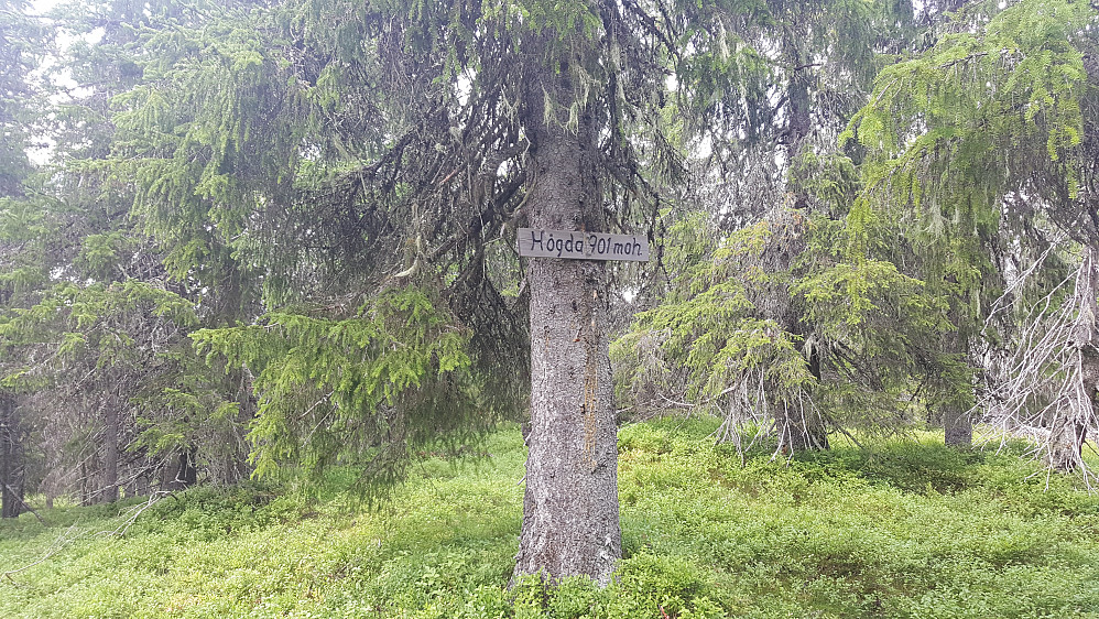 Storseterjøgda