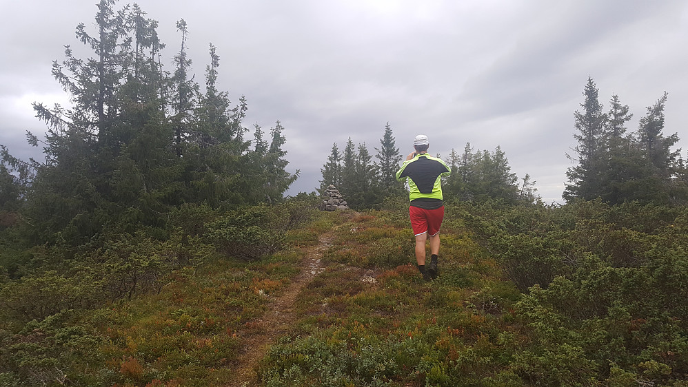 På Grøtåshaugen