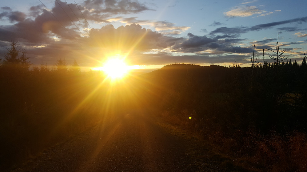 Solnedgang fra Gammelhushaugen