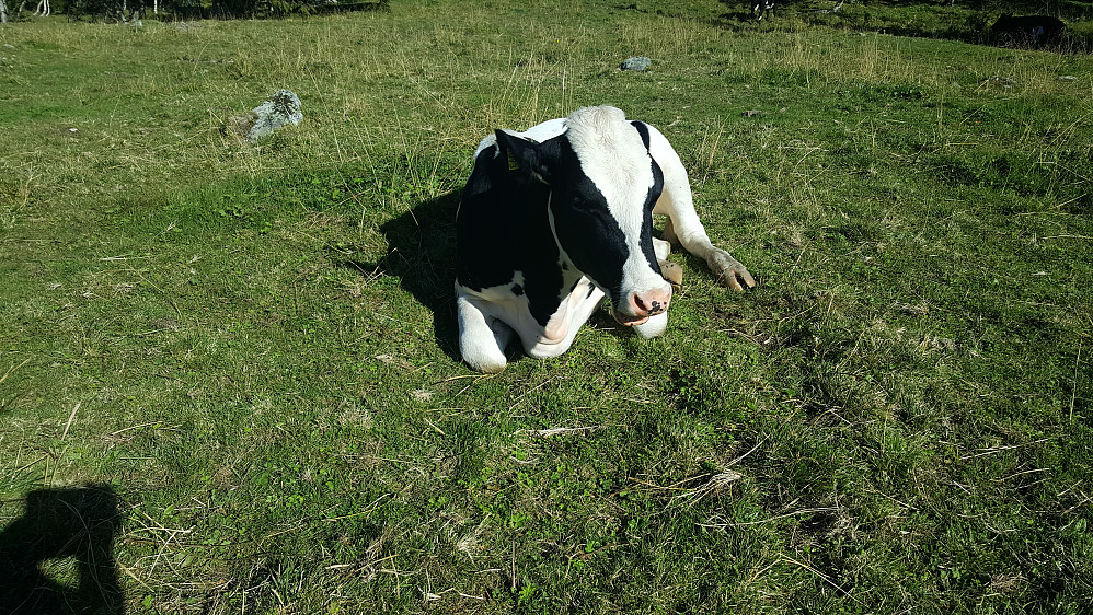 På Storsetra