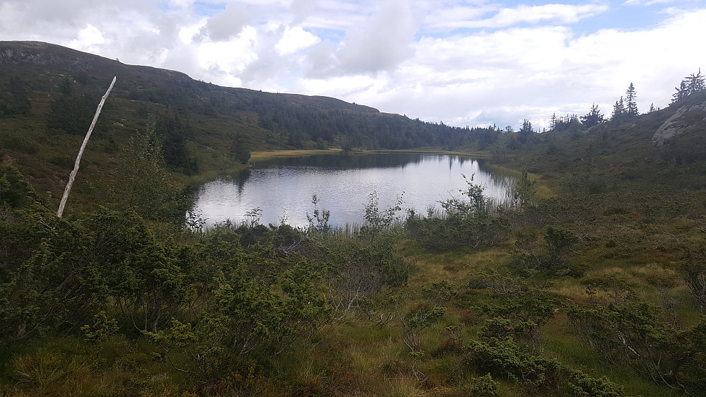 Endrelitjønnet