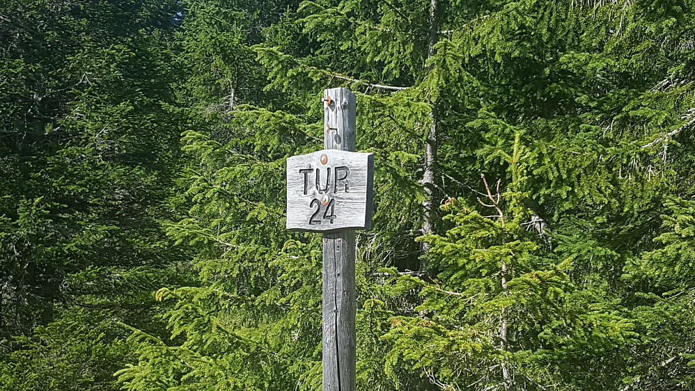 Startet turen her, i Bleikeseterkrysset