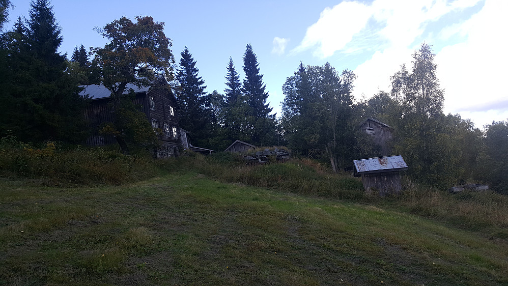 Hammershaug