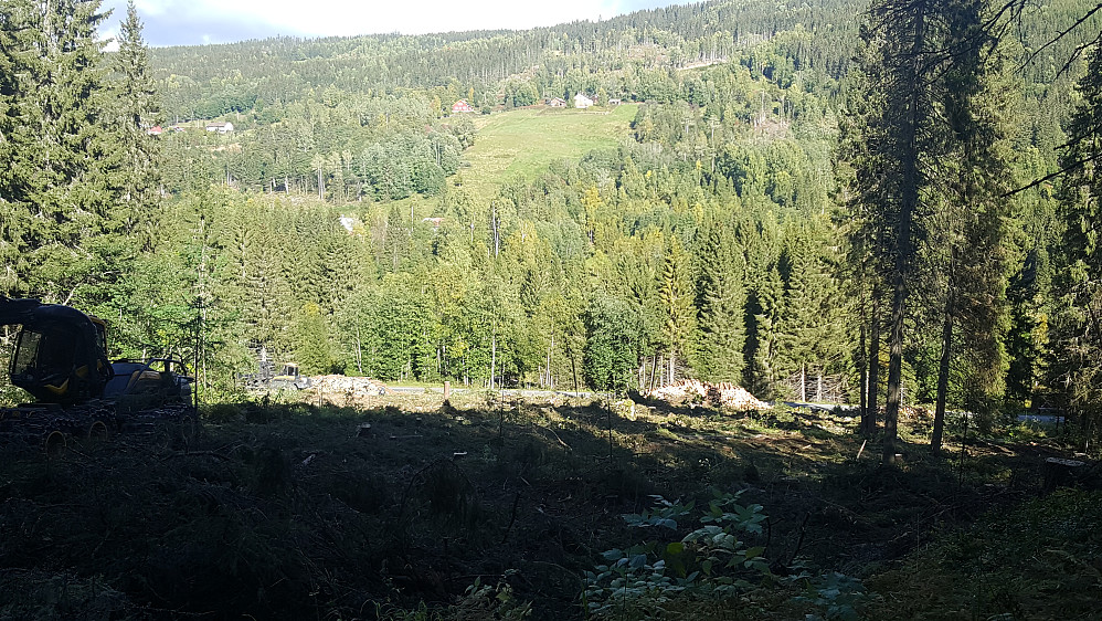 Tøøerdrift i Hammershaug