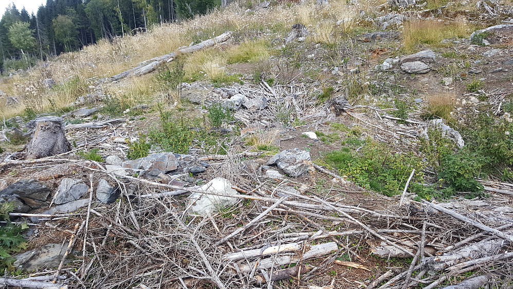 Øygardshaugen