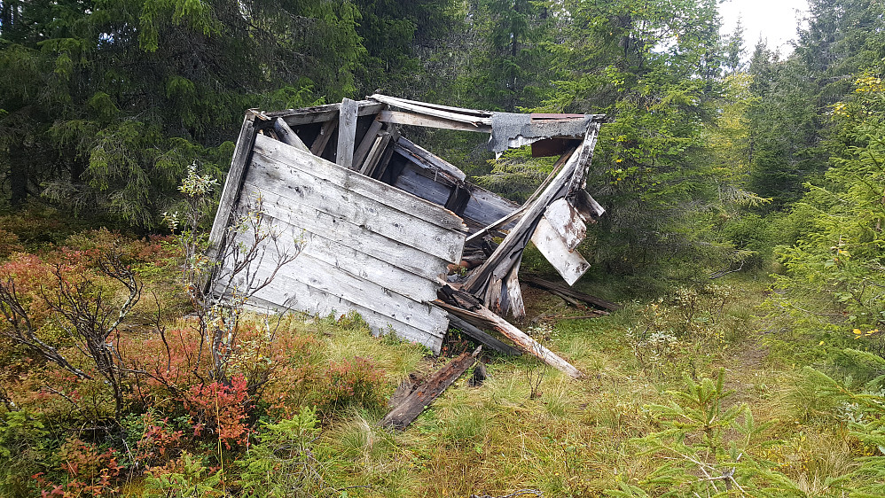 Ikke mye igjen av denne Skogskoia, nærmere Rindåsen, også i Iversliskogen.