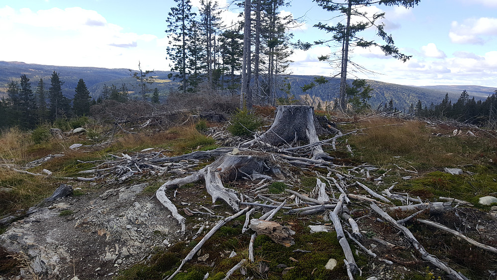 Finsrudbekkhøgda