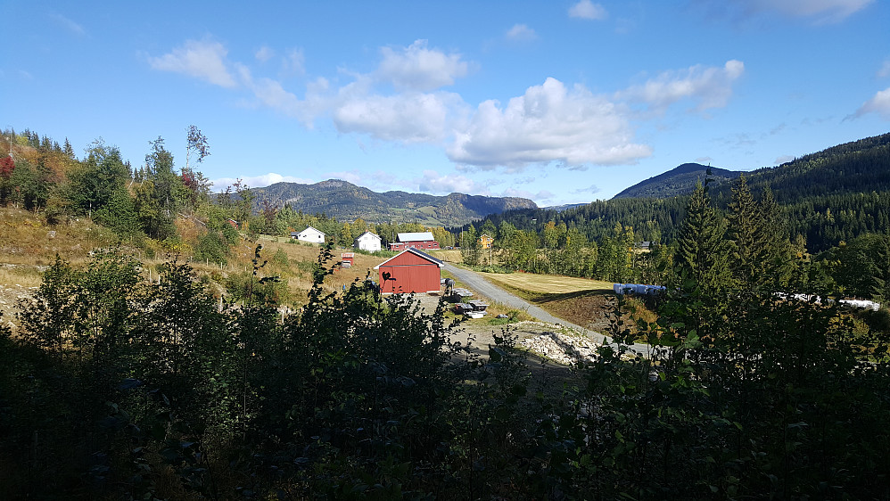Forsethaugen