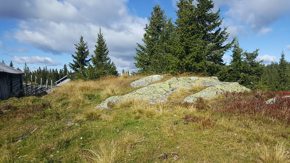 Rindåsen