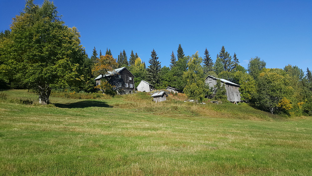 Hammershaug