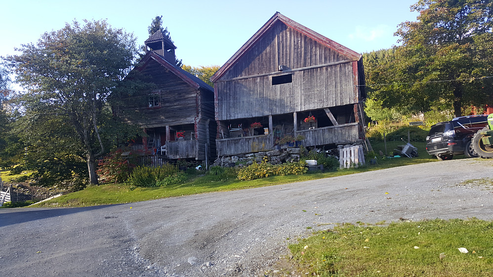 Nygaard