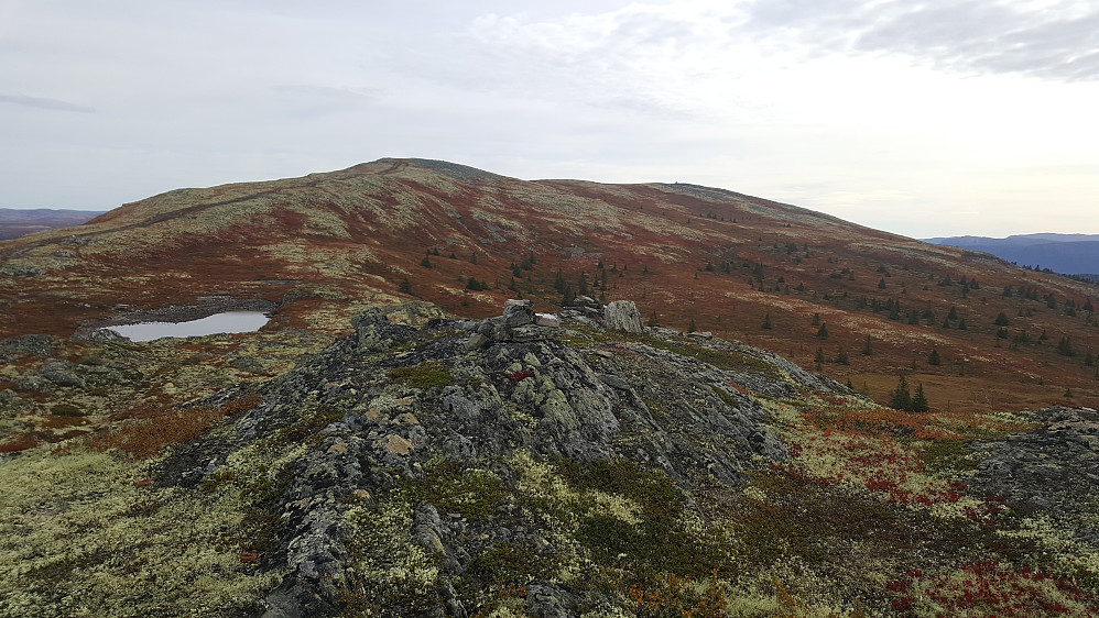 Dynjefjelletnordvest, mot Dynjefjellet