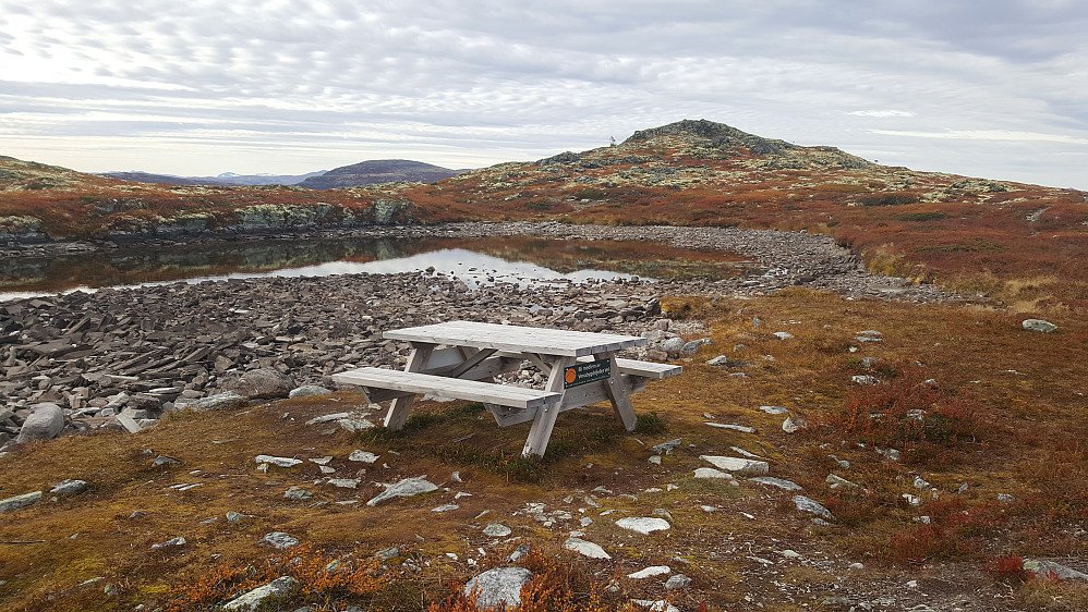 Dynjefjellet rasteplass