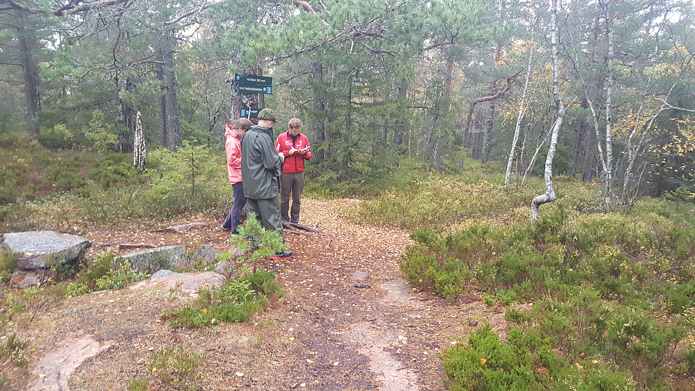 På Vardåsen