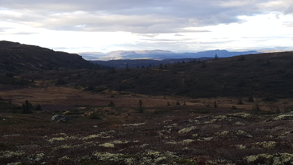 Mot Gausdal Nordfjell 