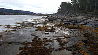 repelo_20201026_5f969b40cf8c4.jpg