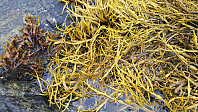 repelo_20201026_5f969b6666b9a.jpg