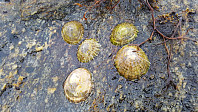 repelo_20201026_5f969b85240bb.jpg