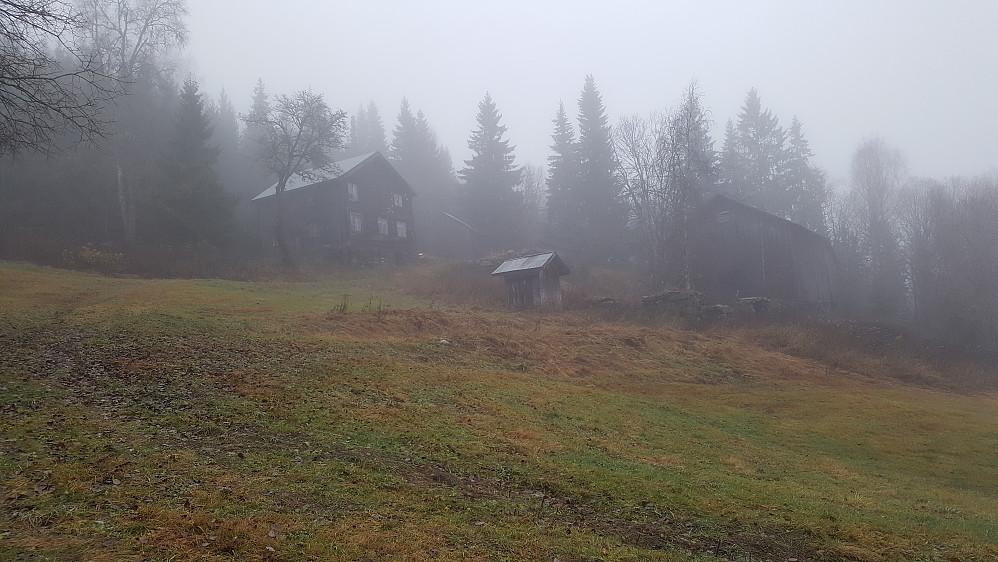 Hammershaug