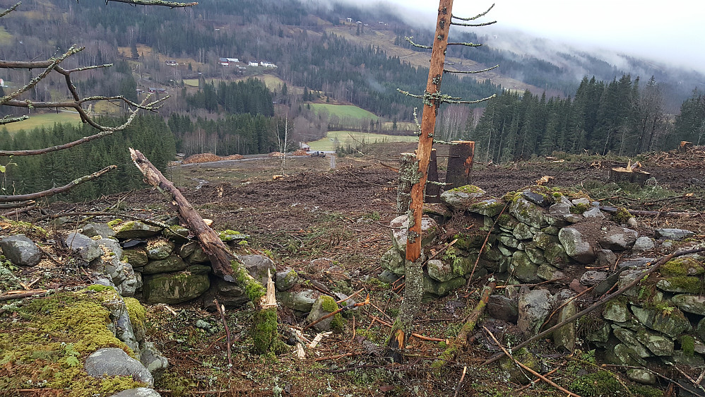 Hagebakken, mot Ringen