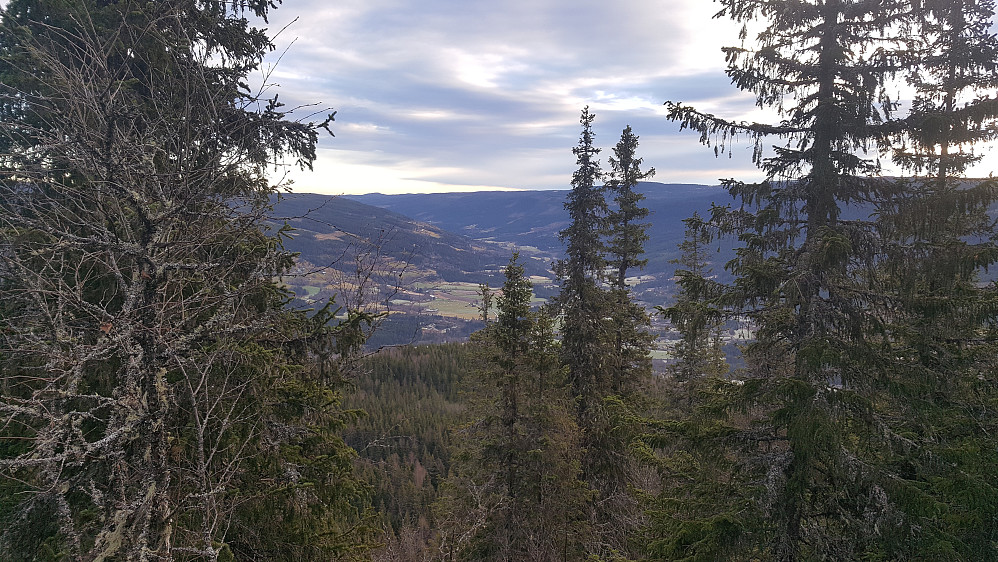 Mot Auggedalen fra Vardkampen