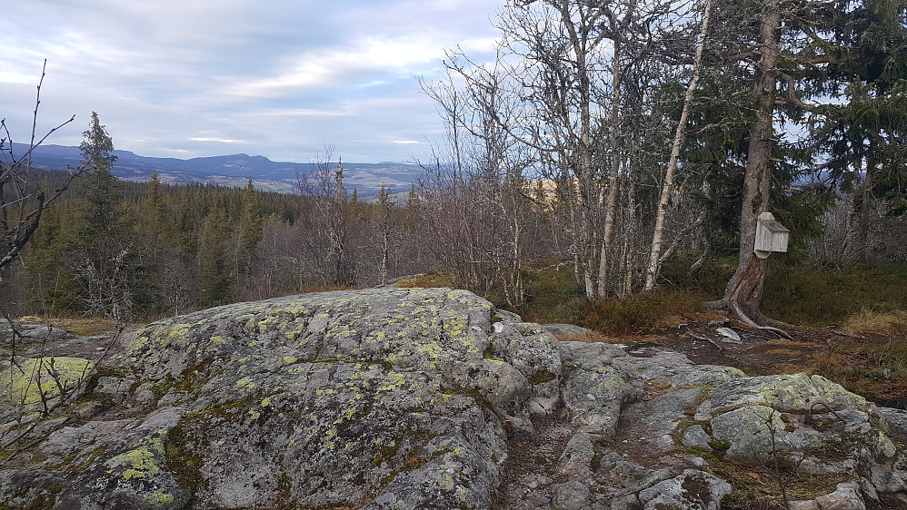 Vardkampen