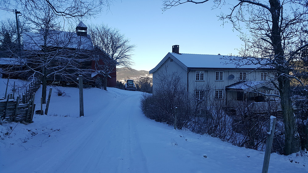 Nygaard