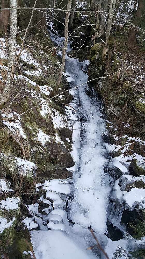 Storbekken