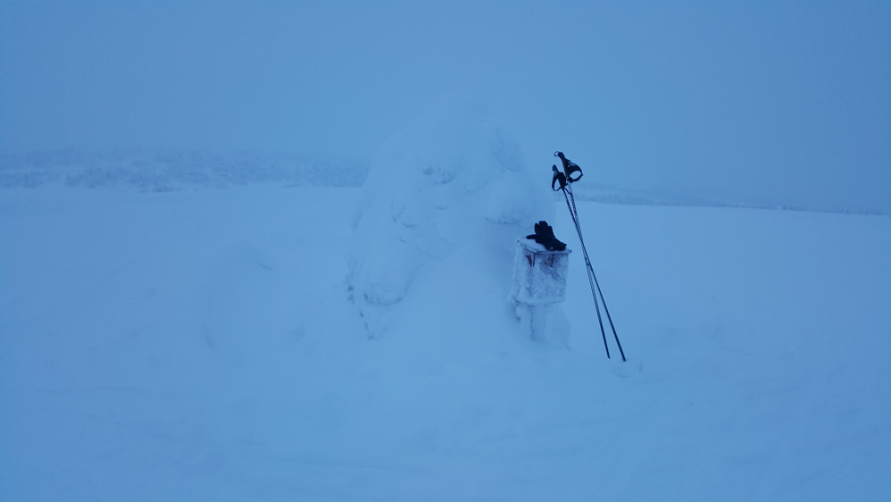 Grått på Hærfjellet i dag 