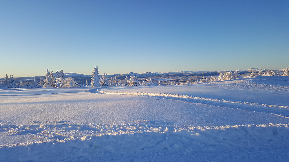 Værskei