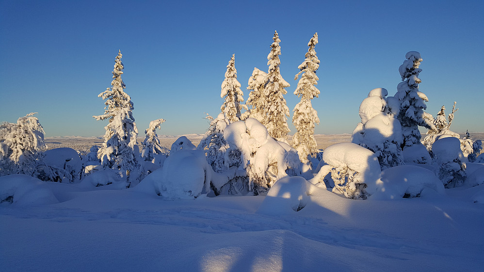 Værskeitoppen
