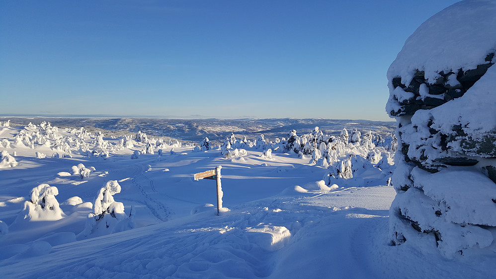 Bjørga