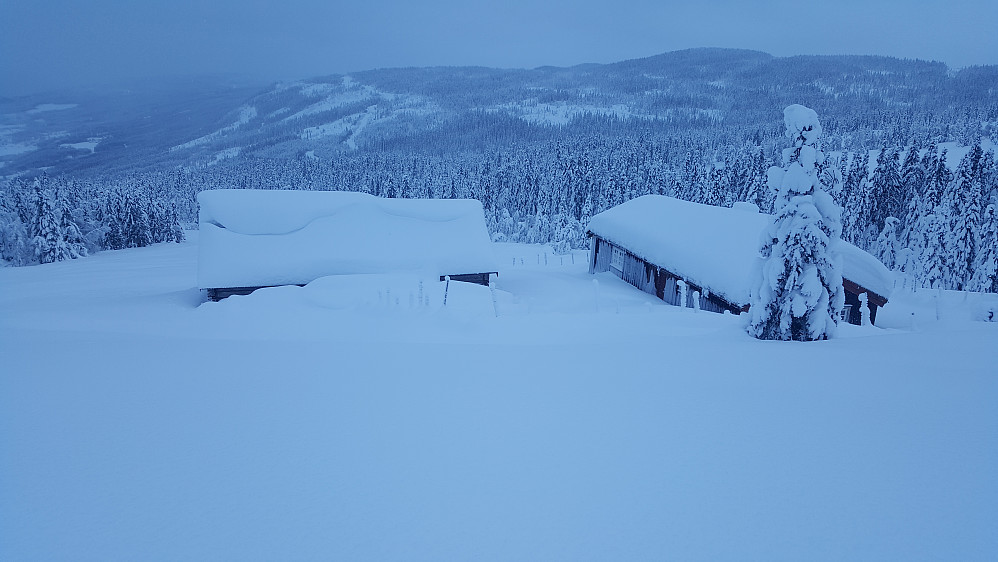 Storsetra