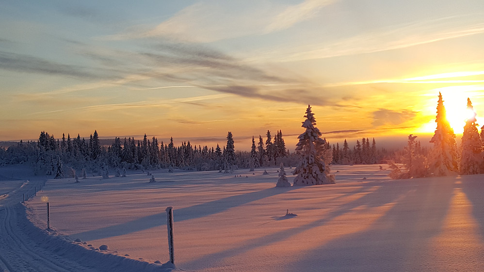 Ved Morgobeittjønnet