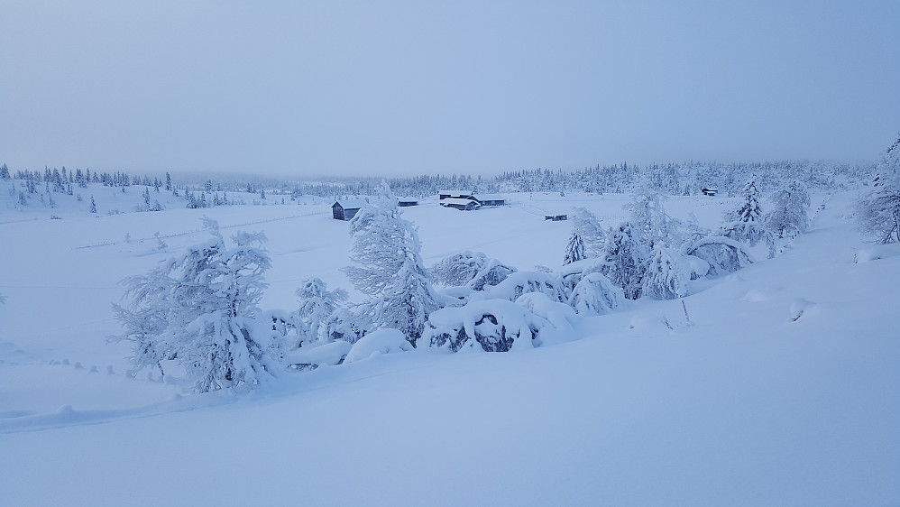 Gråvær på Nysetra